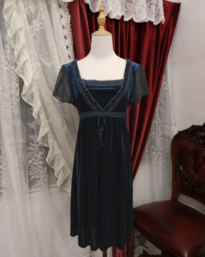 Secret Society Navy Velvet Dress