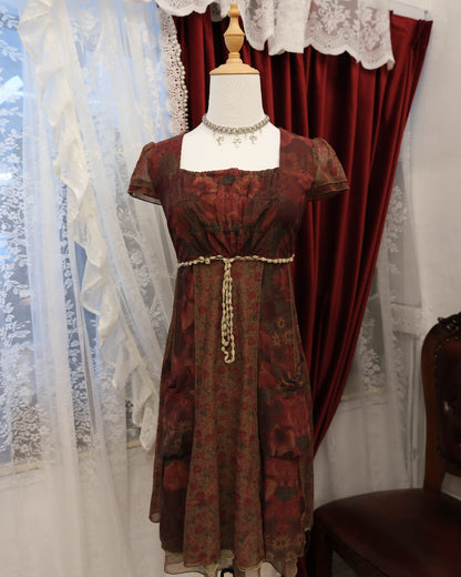 Rosy Red Sheer One Piece Dress