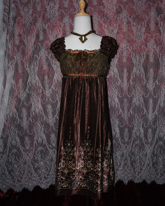 Bronzed Gothic Lacey Velvet Dress